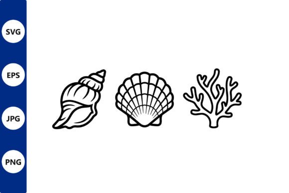 Download Shell Line Art Set Conch Scallop Coral - Premium Resources